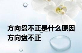 方向盘不正是什么原因 方向盘不正 