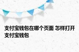 支付宝钱包在哪个页面 怎样打开支付宝钱包