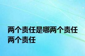 两个责任是哪两个责任 两个责任 