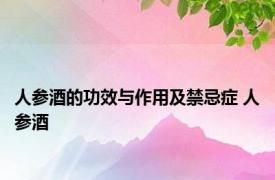 人参酒的功效与作用及禁忌症 人参酒 