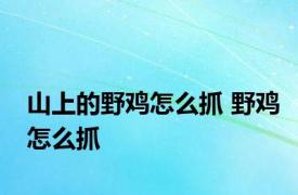 山上的野鸡怎么抓 野鸡怎么抓 