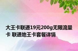 大王卡联通19元200g无限流量卡 联通地王卡套餐详情 