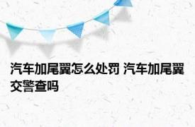 汽车加尾翼怎么处罚 汽车加尾翼交警查吗 