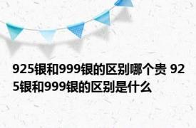 925银和999银的区别哪个贵 925银和999银的区别是什么