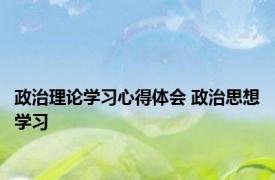 政治理论学习心得体会 政治思想学习 