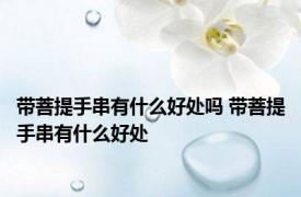 带菩提手串有什么好处吗 带菩提手串有什么好处