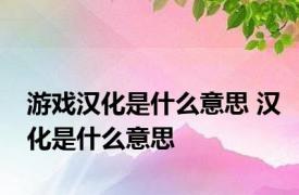 游戏汉化是什么意思 汉化是什么意思