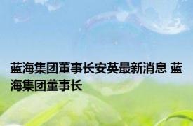 蓝海集团董事长安英最新消息 蓝海集团董事长 