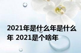 2021年是什么年是什么年 2021是个啥年 