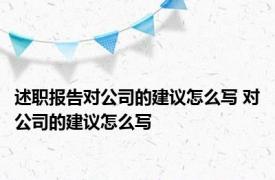 述职报告对公司的建议怎么写 对公司的建议怎么写 