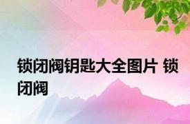 锁闭阀钥匙大全图片 锁闭阀 