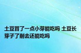 土豆冒了一点小芽能吃吗 土豆长芽子了削去还能吃吗