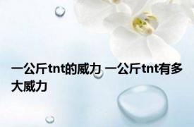 一公斤tnt的威力 一公斤tnt有多大威力 