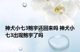 神犬小七3鲍宇还回来吗 神犬小七3出现鲍宇了吗