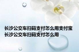 长沙公交车扫码支付怎么用支付宝 长沙公交车扫码支付怎么用 