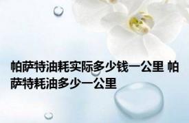 帕萨特油耗实际多少钱一公里 帕萨特耗油多少一公里