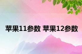 苹果11参数 苹果12参数 