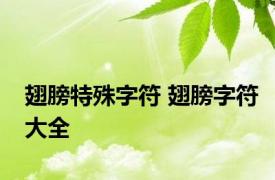 翅膀特殊字符 翅膀字符大全 