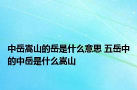 中岳嵩山的岳是什么意思 五岳中的中岳是什么嵩山