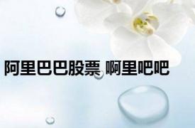 阿里巴巴股票 啊里吧吧 