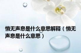 悄无声息是什么意思解释（悄无声息是什么意思）