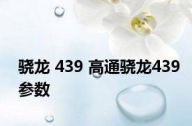 骁龙 439 高通骁龙439参数 