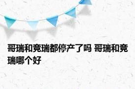 哥瑞和竞瑞都停产了吗 哥瑞和竞瑞哪个好 