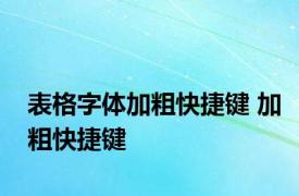 表格字体加粗快捷键 加粗快捷键 