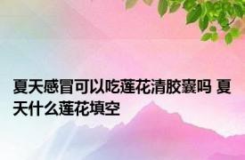 夏天感冒可以吃莲花清胶囊吗 夏天什么莲花填空 