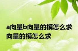 a向量b向量的模怎么求 向量的模怎么求