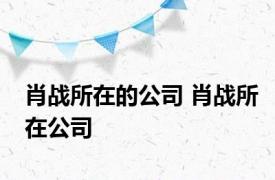 肖战所在的公司 肖战所在公司 