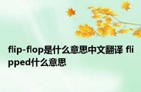 flip-flop是什么意思中文翻译 flipped什么意思 