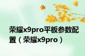 荣耀x9pro平板参数配置（荣耀x9pro）