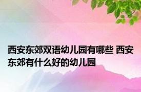 西安东郊双语幼儿园有哪些 西安东郊有什么好的幼儿园