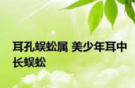 耳孔蜈蚣属 美少年耳中长蜈蚣 