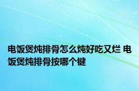 电饭煲炖排骨怎么炖好吃又烂 电饭煲炖排骨按哪个键 