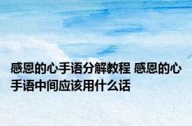 感恩的心手语分解教程 感恩的心手语中间应该用什么话