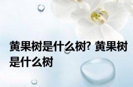 黄果树是什么树? 黄果树是什么树