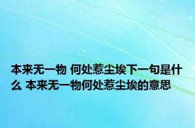 本来无一物 何处惹尘埃下一句是什么 本来无一物何处惹尘埃的意思