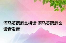 河马英语怎么拼读 河马英语怎么读音发音 