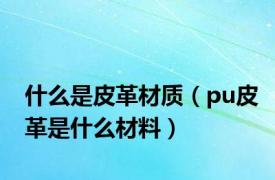 什么是皮革材质（pu皮革是什么材料）