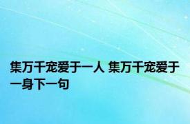 集万千宠爱于一人 集万千宠爱于一身下一句