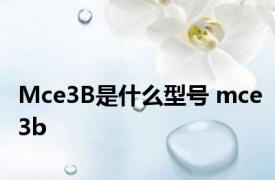 Mce3B是什么型号 mce3b 