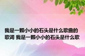 我是一颗小小的石头是什么歌曲的歌词 我是一颗小小的石头是什么歌