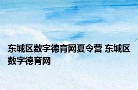 东城区数字德育网夏令营 东城区数字德育网 