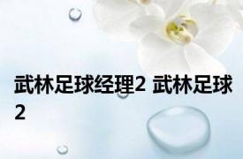 武林足球经理2 武林足球2 