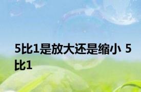 5比1是放大还是缩小 5比1 