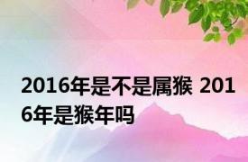 2016年是不是属猴 2016年是猴年吗 