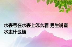 水表号在水表上怎么看 男生说查水表什么梗 