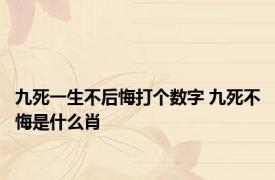 九死一生不后悔打个数字 九死不悔是什么肖 